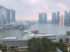 -新加坡丽思卡尔顿美年酒店