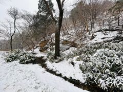-香山公园