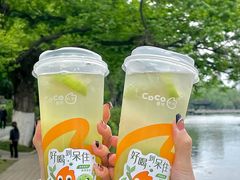 -CoCo都可(包河万达店)