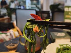 -一善菌·云南菌汤·云南菜(银泰城店)