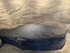 -白鹤梁水下博物馆