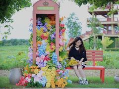 -杭州湾海上花田景区