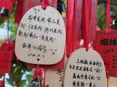 -杭州乐园