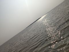 -呼兰河口湿地公园