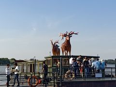 -溱湖国家湿地公园