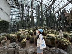 -南山植物园