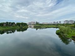 -眉山湿地公园(东坡区)