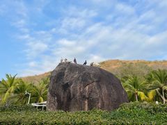 -三亚南山文化旅游区