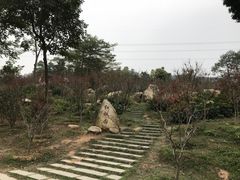 -广州市帽峰山景区