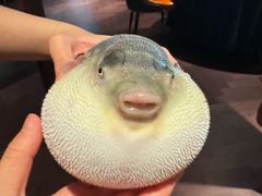 -肆月河豚·淮扬菜·湘菜(华天店)