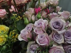 -Flower in(密渡桥店)