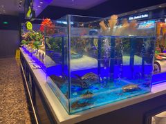 -SEA西雅图海鲜自助餐厅(海乐世界店)