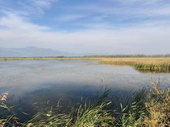 -野鸭湖国家湿地公园