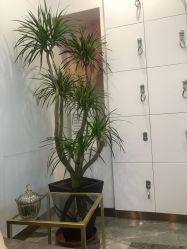 -CD Hair salon