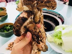 -南渝食府.墨脱石锅松茸鸡