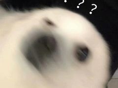 -土灶台东北大块肉烧烤(风景城邦店)