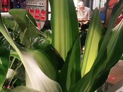 -管氏翅吧(台湾街店)