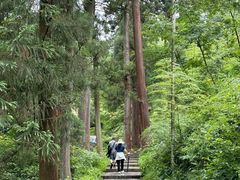 -东天目山风景区