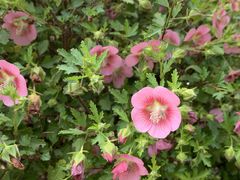 -艾溪湖湿地公园