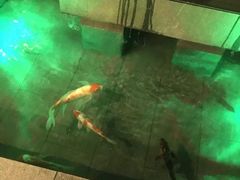 -辉哥火锅(虹桥路店)