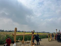 -中国天府农业博览园