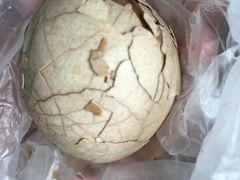 -金盆阿嬷香菇茶叶蛋(玄光店)