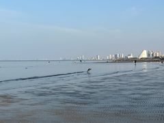 -烟台金沙滩海滨公园
