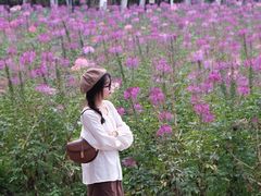 -丹樱生态园
