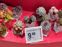 -盒马鲜生(宝地店)