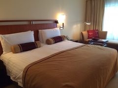 王府半岛酒店-王府半岛酒店