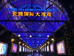 -广州长隆国际大马戏