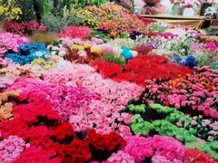 -双季花艺园艺市场(浦东店)