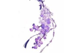 鸡柳沙拉-成桂西餐厅·42年的味道(五大道疙瘩楼店)