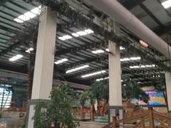 -南宫温泉水世界