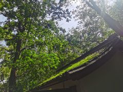 -采石矶景区