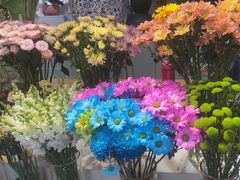 -花里花店(唐镇阳光天地店)