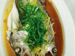 -广宁炭炉鸡煲·富临门饭店