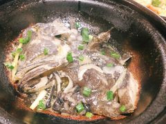鸦片鱼头-小时候焗海鲜(鄞州万达店)