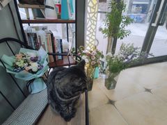 -ChaKo Flora ·茶子花艺 (市北店)
