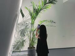 -大芬美术馆