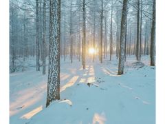 -塞罕坝国家级自然保护区