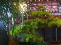 -300杯·和牛烧肉清酒专门店(廊里店)