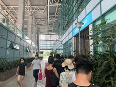 -宝安体育馆游泳馆