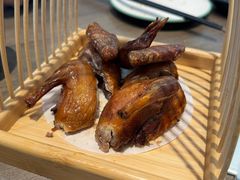 鸿运报喜鸽-添好运(武商MALL店)
