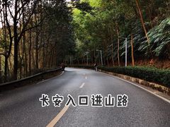 -东莞市大岭山森林公园