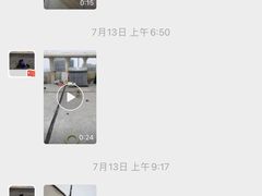 -波姐宠物家庭寄养