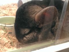 -龙猫仔乐园(惠福东路店)