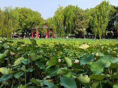 -四川大学(望江校区)