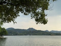 -杭州西湖柳莺里酒店·闻莺厅