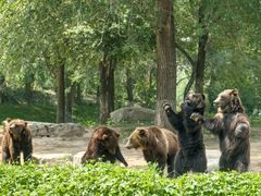 -北京野生动物园